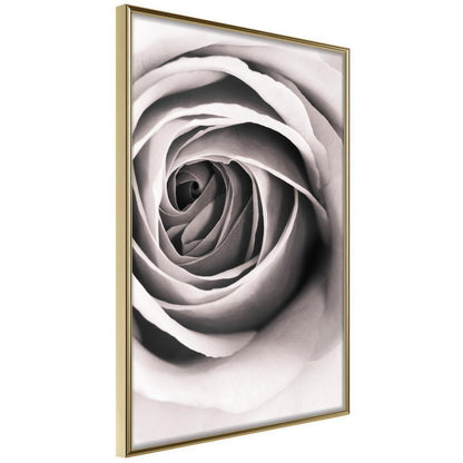 Botanical Wall Art - Structure of Petals-artwork for wall with acrylic glass protection