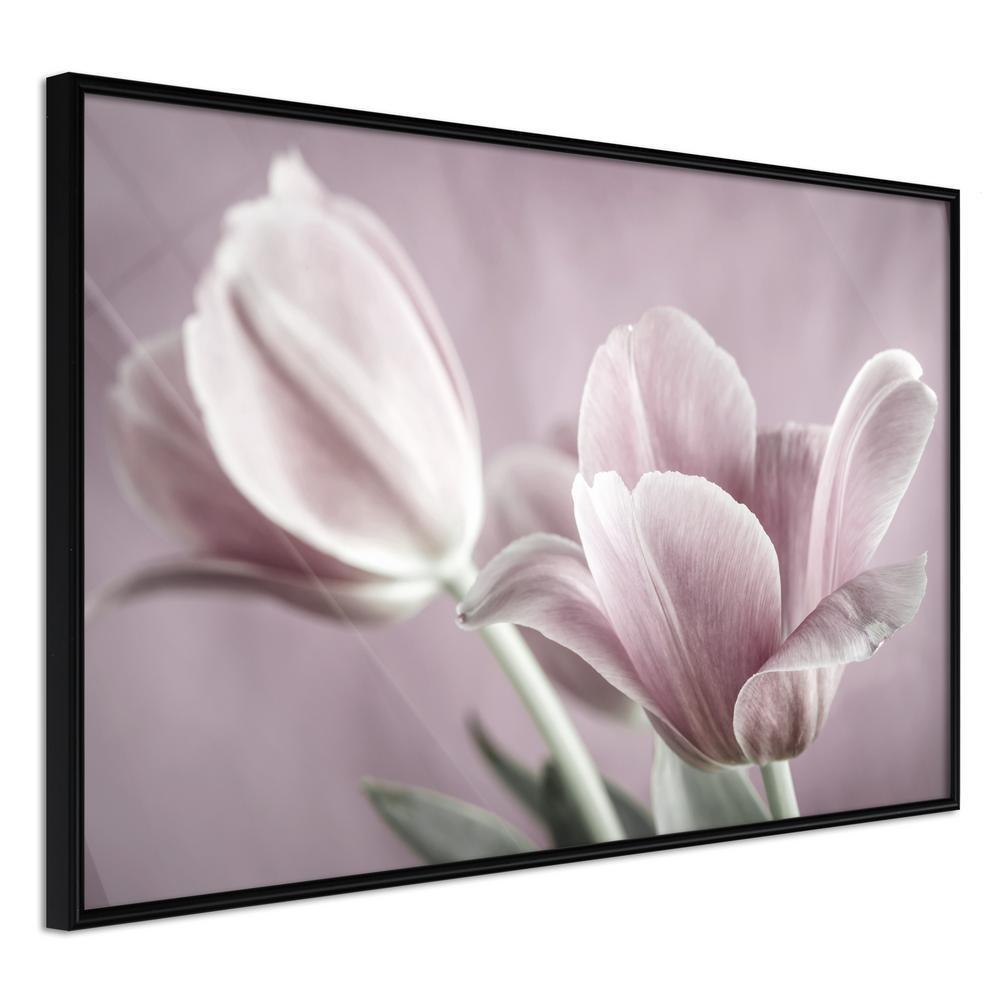 Botanical Wall Art - Pastel Tulips I-artwork for wall with acrylic glass protection