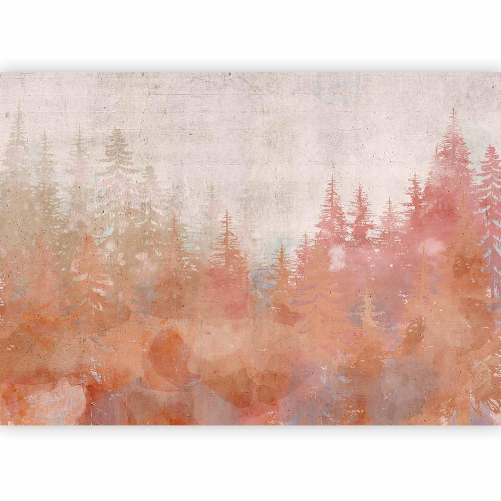 Wall Mural - Forest at Sunset