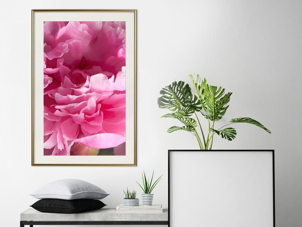 Botanical Wall Art - Magenta Madness-artwork for wall with acrylic glass protection