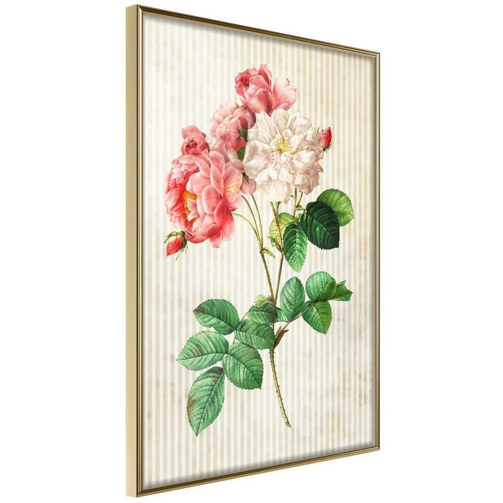 Botanical Wall Art - Romance II-artwork for wall with acrylic glass protection