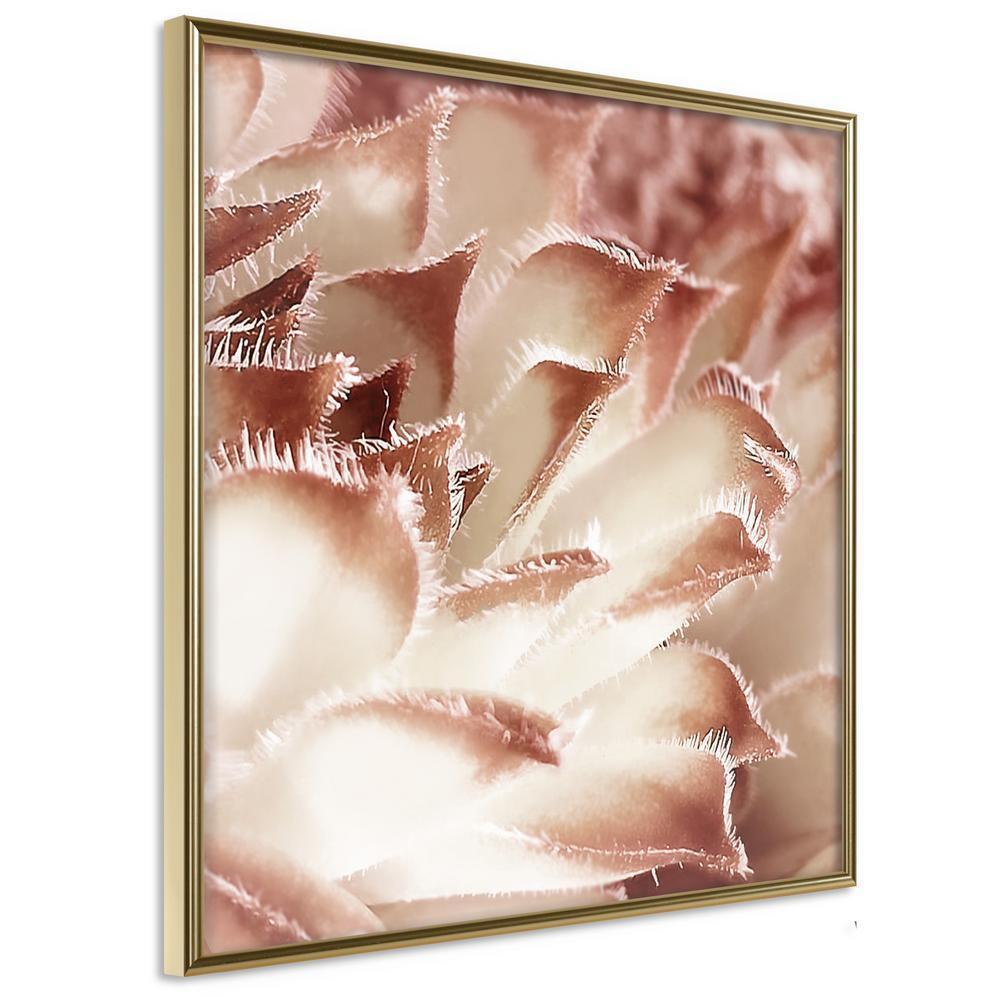 Botanical Wall Art - Floral Calyx-artwork for wall with acrylic glass protection