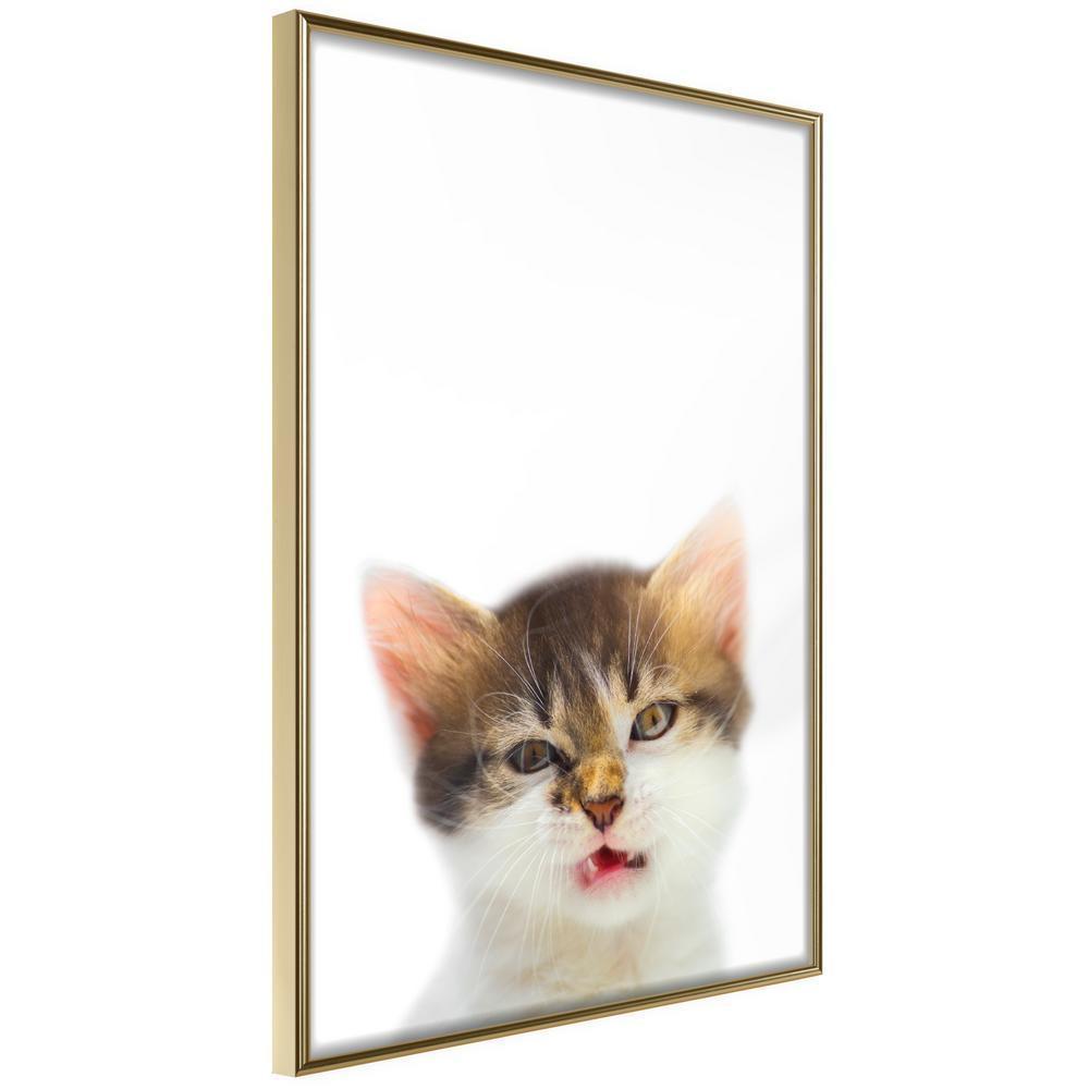 Nursery Room Wall Frame - Funny Kitten-artwork for wall with acrylic glass protection