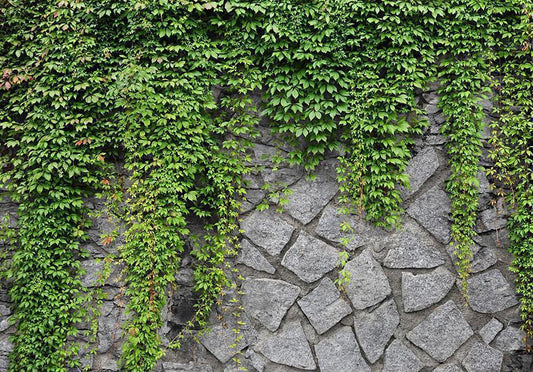 Wall Mural - Green wall-Wall Murals-ArtfulPrivacy
