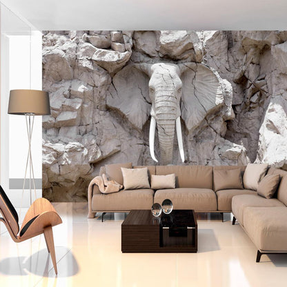 Wall Mural - The Bridge of Time (South Africa)-Wall Murals-ArtfulPrivacy