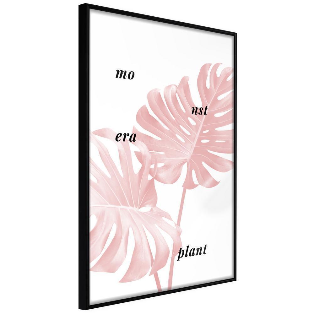 Botanical Wall Art - Pale Pink Monstera-artwork for wall with acrylic glass protection