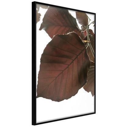 Autumn Framed Poster - Burgundy Tilia Leaf-artwork for wall with acrylic glass protection