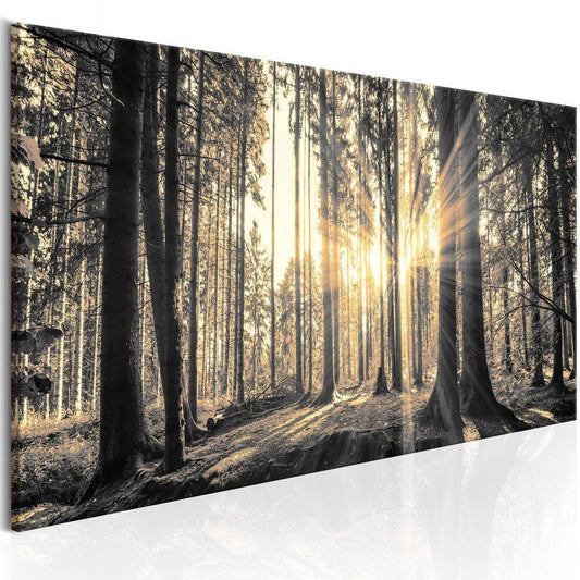 Canvas Print - Forest Sun-ArtfulPrivacy-Wall Art Collection