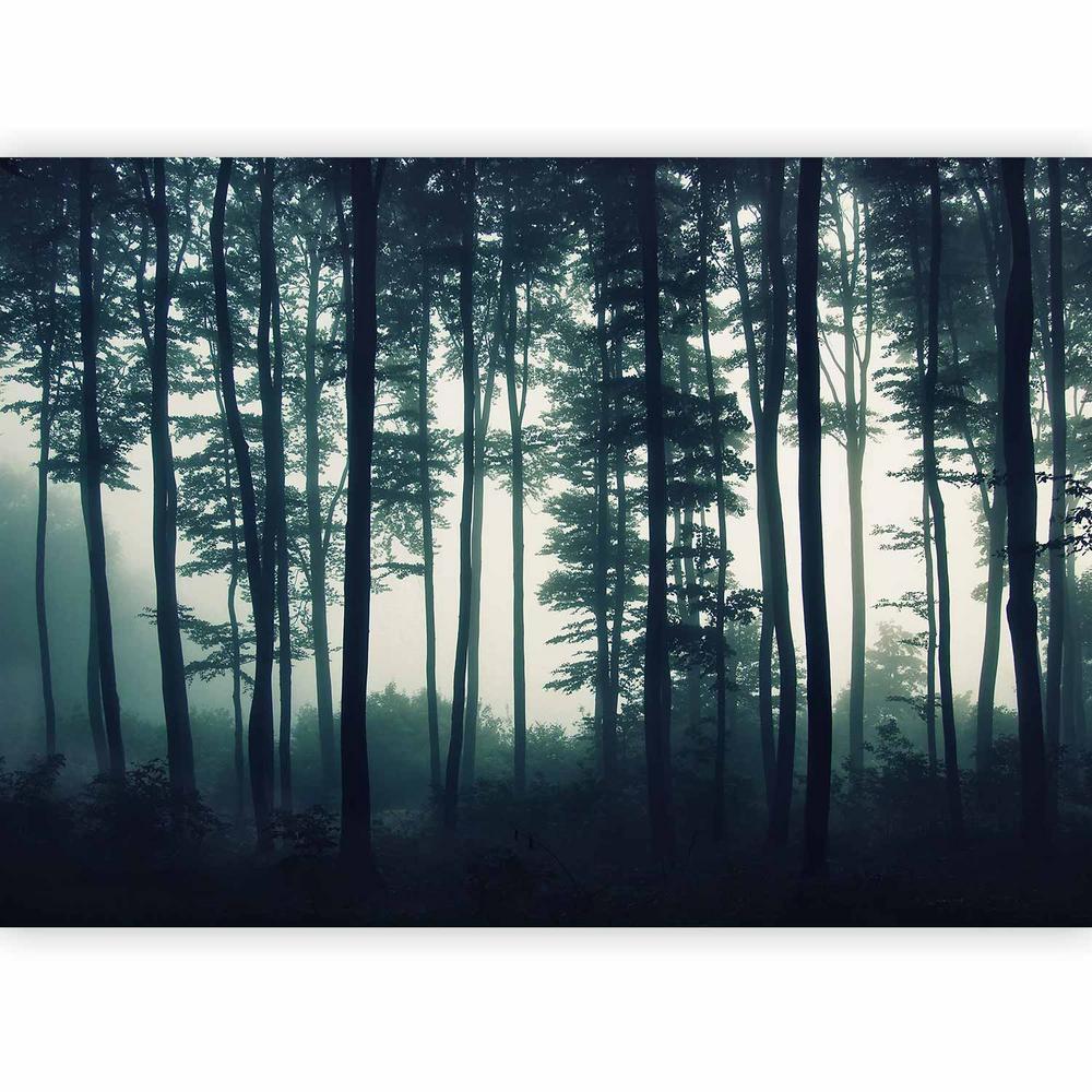 Wall Mural - Dark Forest