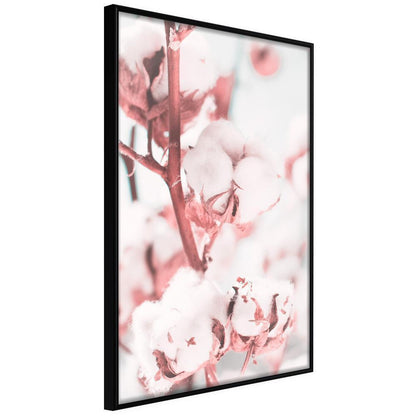 Botanical Wall Art - Cotton Flowers-artwork for wall with acrylic glass protection