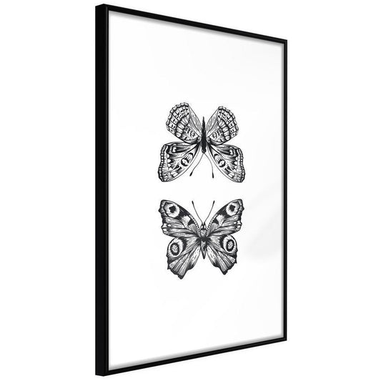 Black and White Framed Poster - Butterfly Collection I-artwork for wall with acrylic glass protection