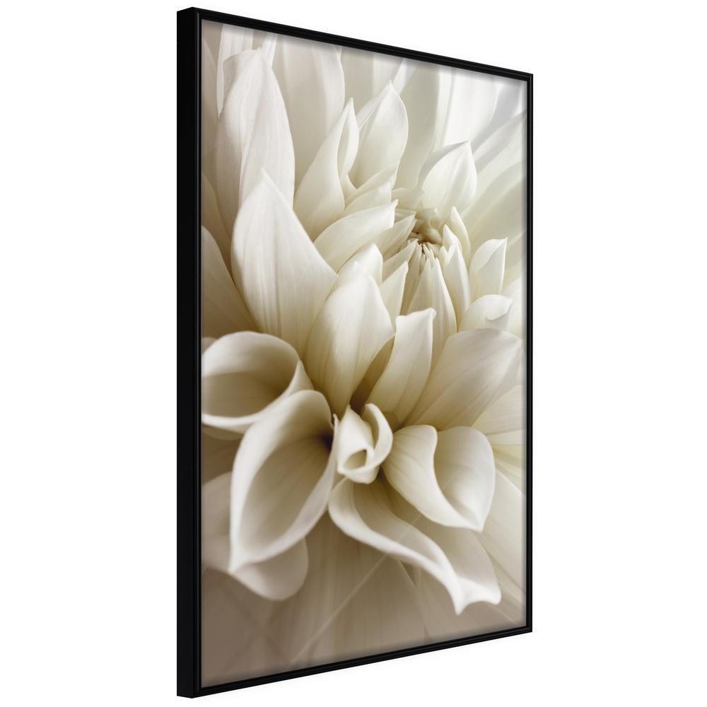 Botanical Wall Art - Peace of Soul-artwork for wall with acrylic glass protection