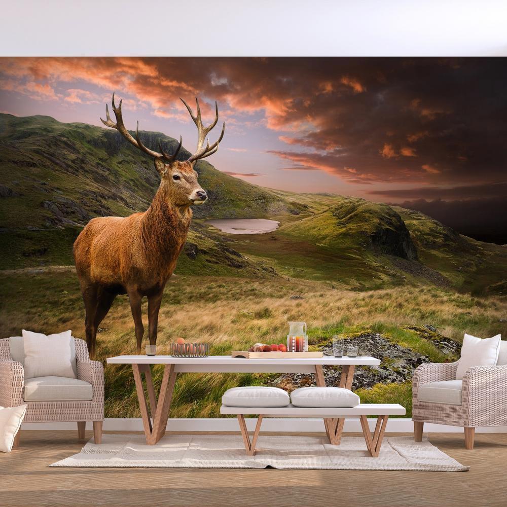 Wall Mural - Deer on Hill-Wall Murals-ArtfulPrivacy