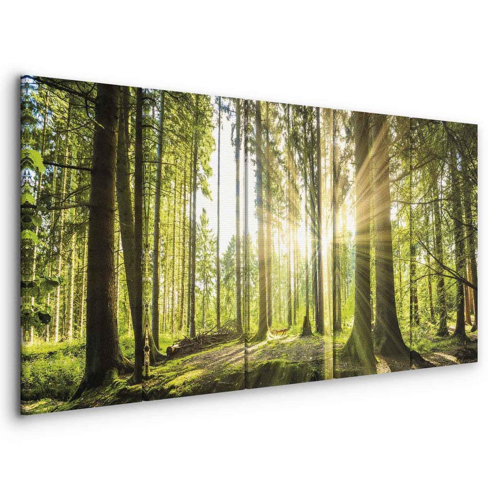 Canvas Print - Sunlight