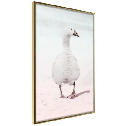 Frame Wall Art - Walking Goose-artwork for wall with acrylic glass protection