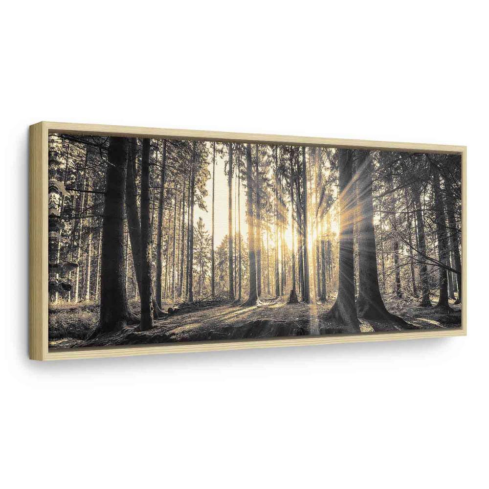 Canvas Print - Forest Sun