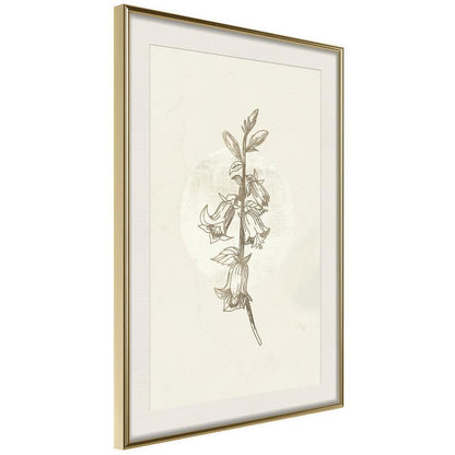 Botanical Wall Art - Beige Campanula-artwork for wall with acrylic glass protection