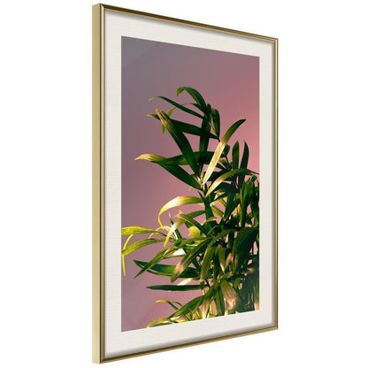 Botanical Wall Art - Against the Sunset-artwork for wall with acrylic glass protection