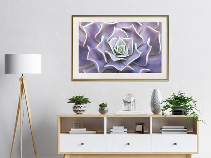 Botanical Wall Art - Like a Flower-artwork for wall with acrylic glass protection