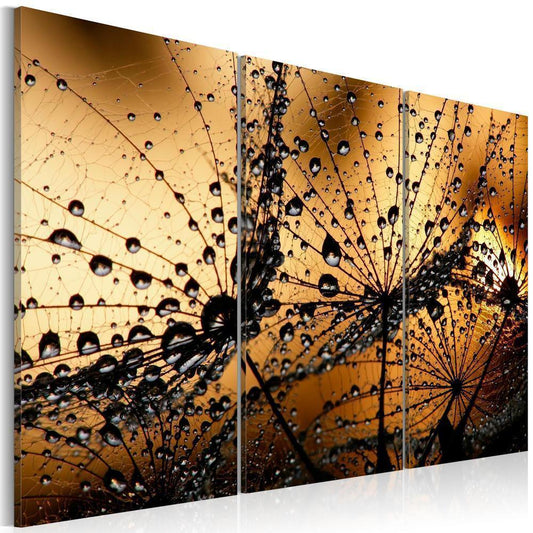 Canvas Print - Dandelions and dew-ArtfulPrivacy-Wall Art Collection