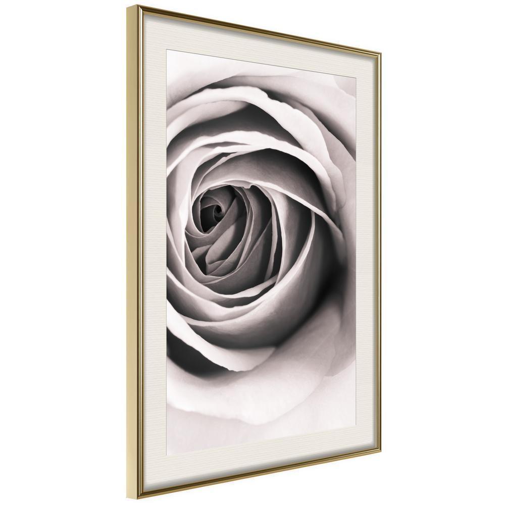 Botanical Wall Art - Structure of Petals-artwork for wall with acrylic glass protection