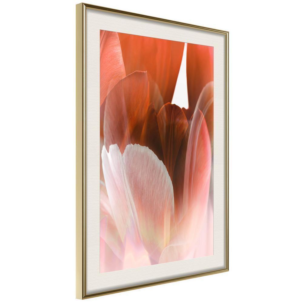 Botanical Wall Art - Tulip Petals-artwork for wall with acrylic glass protection