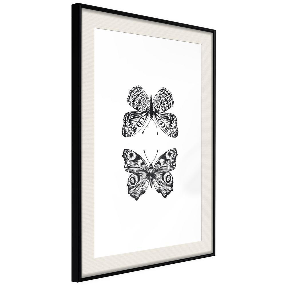 Black and White Framed Poster - Butterfly Collection I-artwork for wall with acrylic glass protection