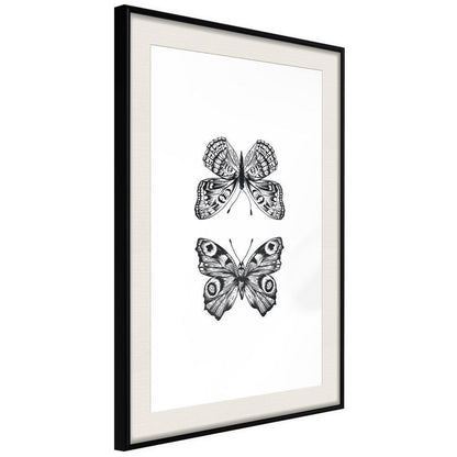 Black and White Framed Poster - Butterfly Collection I-artwork for wall with acrylic glass protection