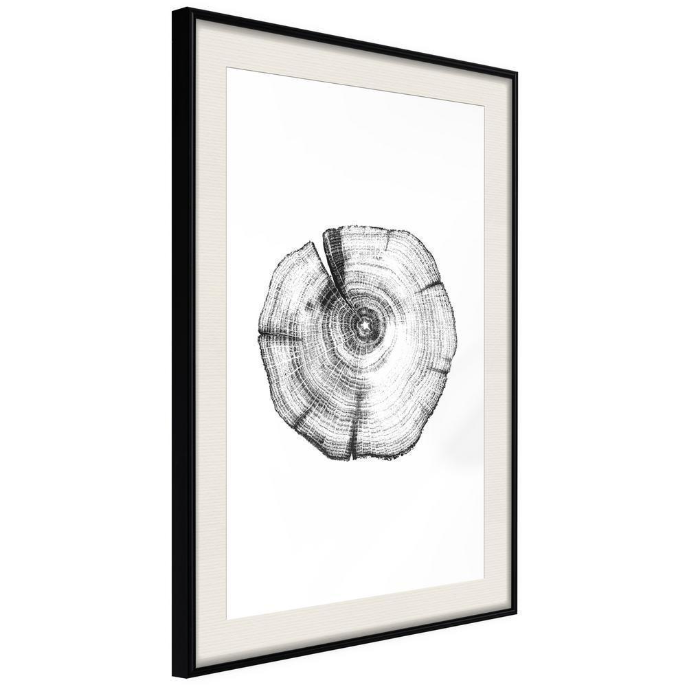 Botanical Wall Art - Tree Rings-artwork for wall with acrylic glass protection