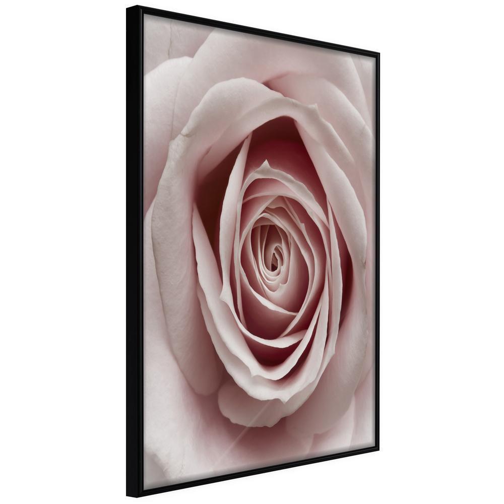 Botanical Wall Art - Rosebud-artwork for wall with acrylic glass protection