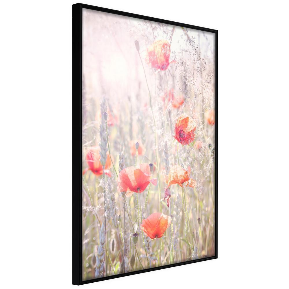 Botanical Wall Art - Poppies-artwork for wall with acrylic glass protection