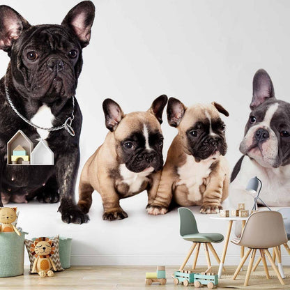 Wall Mural - French Dogs