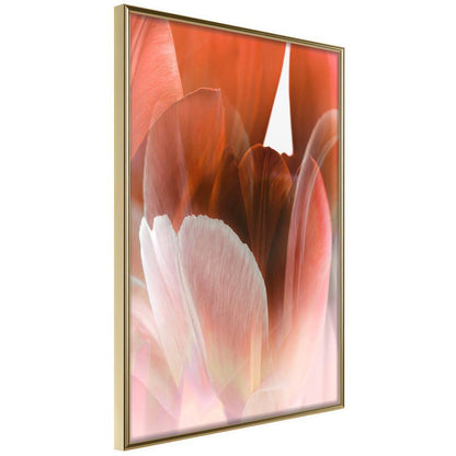 Botanical Wall Art - Tulip Petals-artwork for wall with acrylic glass protection