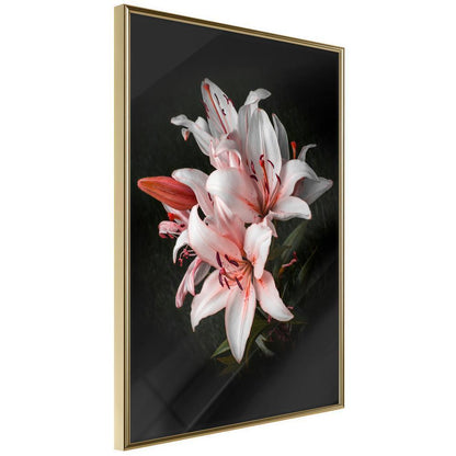 Botanical Wall Art - Pale Pink Lilies-artwork for wall with acrylic glass protection