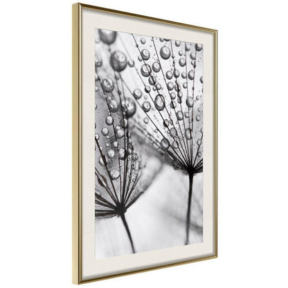 Winter Design Framed Artwork - Dew in the Macro Scale-artwork for wall with acrylic glass protection