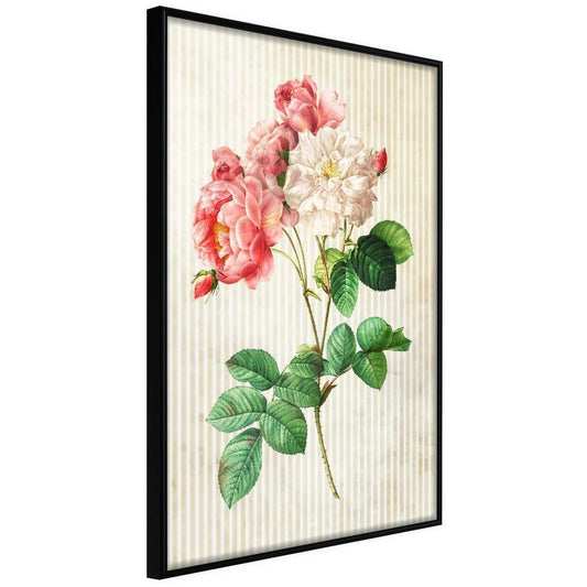 Botanical Wall Art - Romance II-artwork for wall with acrylic glass protection
