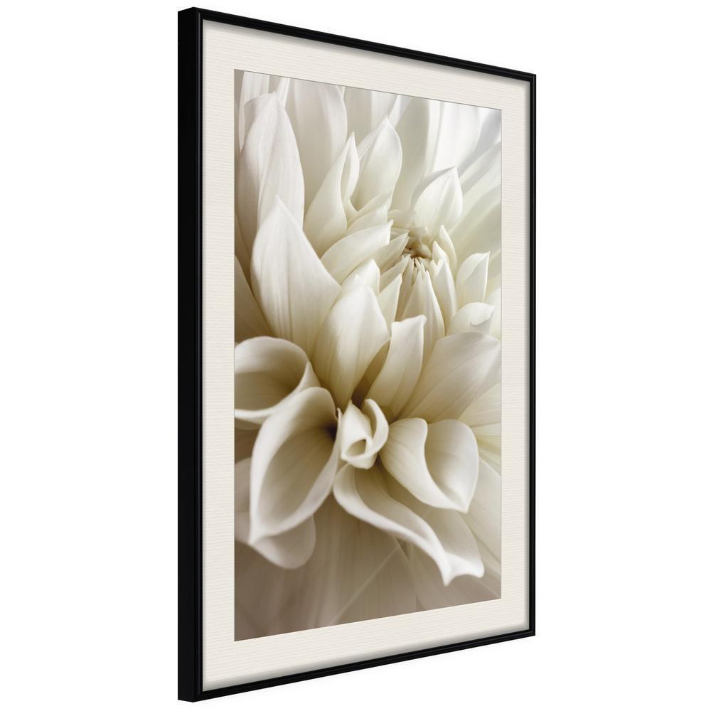 Botanical Wall Art - Peace of Soul-artwork for wall with acrylic glass protection