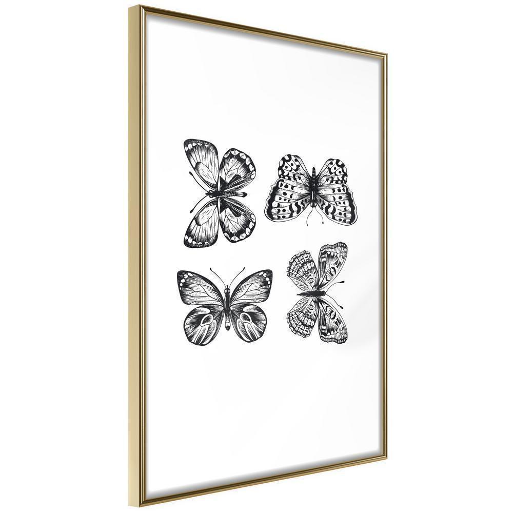 Black and White Framed Poster - Butterfly Collection III-artwork for wall with acrylic glass protection