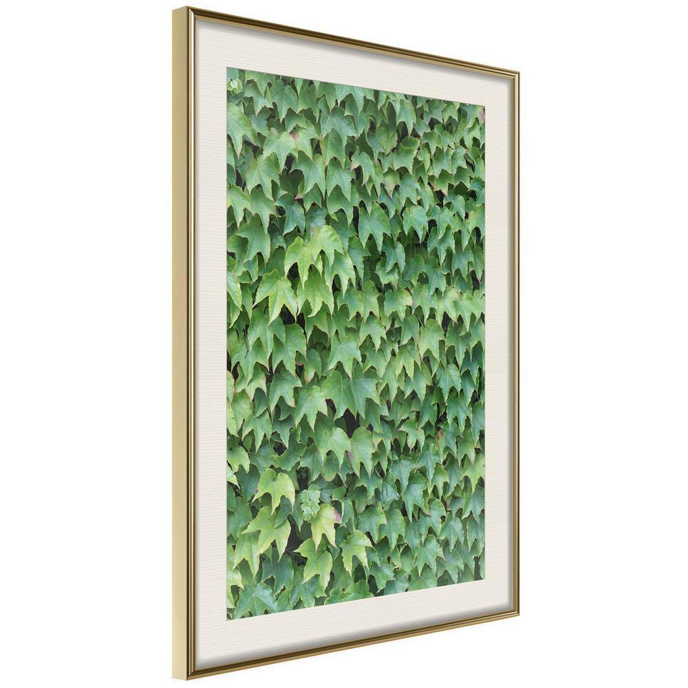 Botanical Wall Art - Hidden-artwork for wall with acrylic glass protection