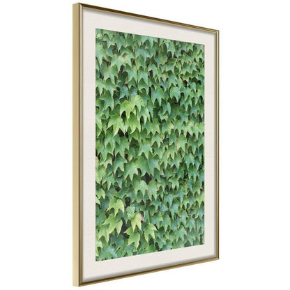 Botanical Wall Art - Hidden-artwork for wall with acrylic glass protection