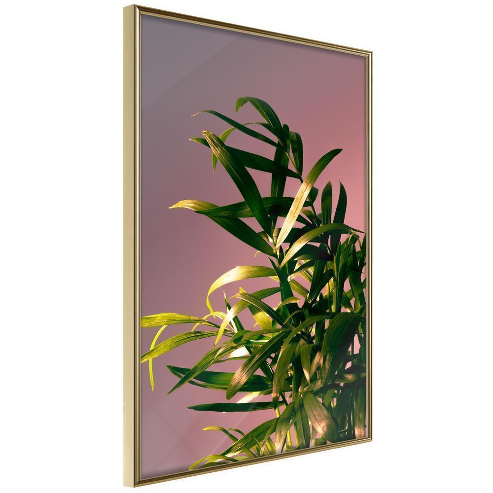 Botanical Wall Art - Against the Sunset-artwork for wall with acrylic glass protection