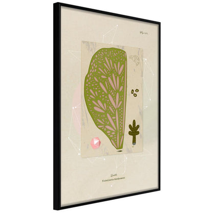 Abstract Poster Frame - Cross Section of a Leaf-artwork for wall with acrylic glass protection