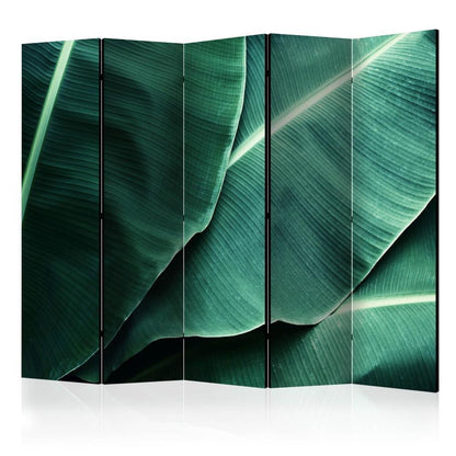 Room Divider - Banana Leaf II- A 5 Panel Folding Screen For Living rooms, bedrooms or home office, decorative folding screen made with wood and canvas