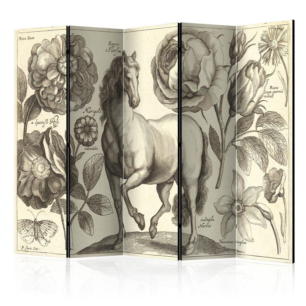 Room Divider - Horse II- A 5 Panel Folding Screen For Living rooms, bedrooms or home office, decorative folding screen made with wood and canvas