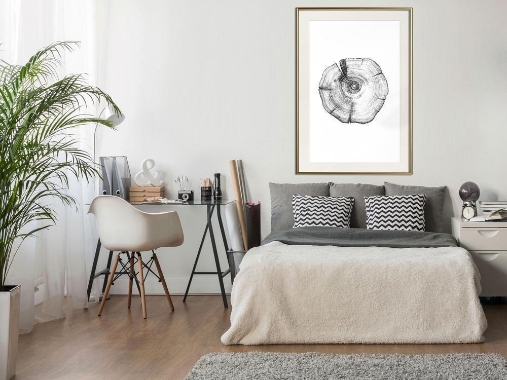 Botanical Wall Art - Tree Rings-artwork for wall with acrylic glass protection