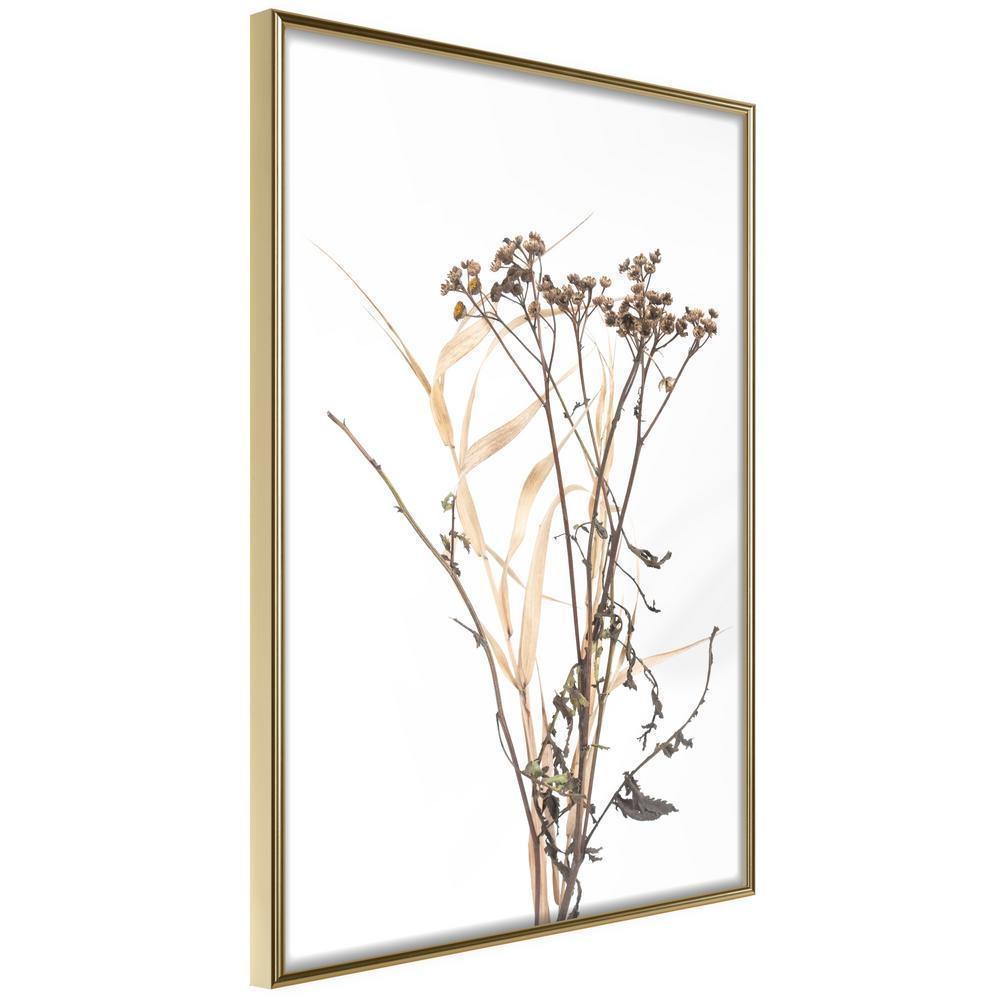 Autumn Framed Poster - Diary of a Herbalist-artwork for wall with acrylic glass protection