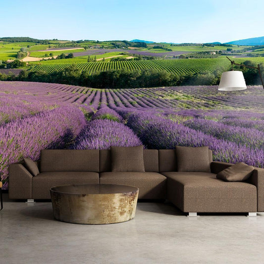 Wall Mural - Lavender fields-Wall Murals-ArtfulPrivacy