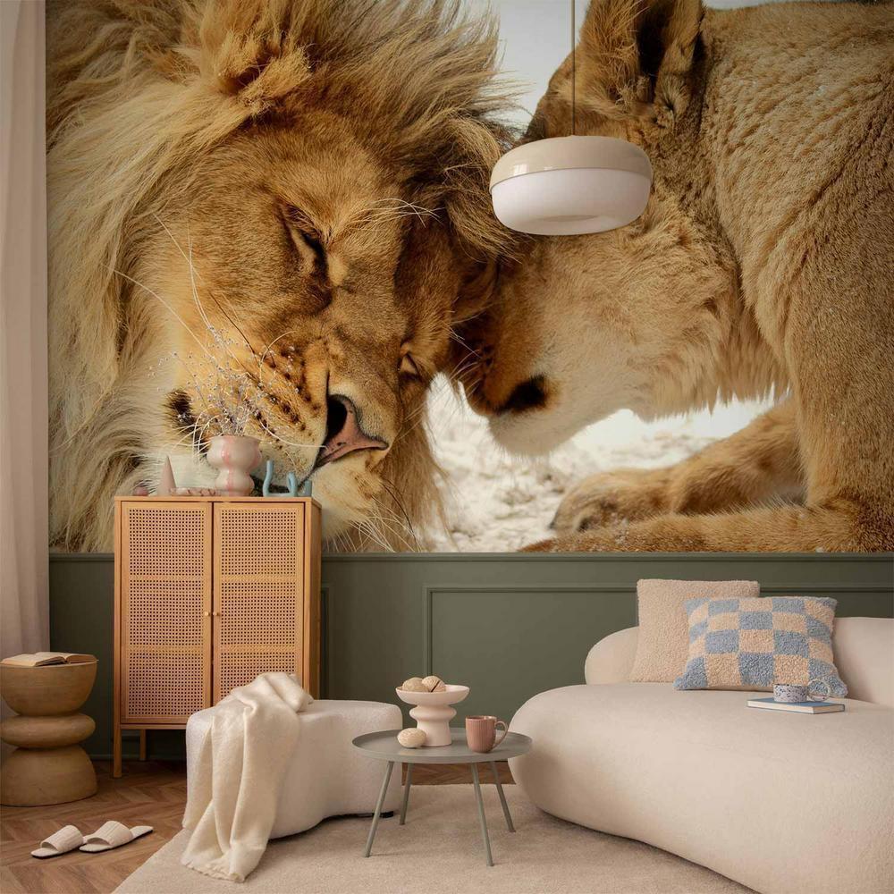 Wall Mural - Lion Tenderness