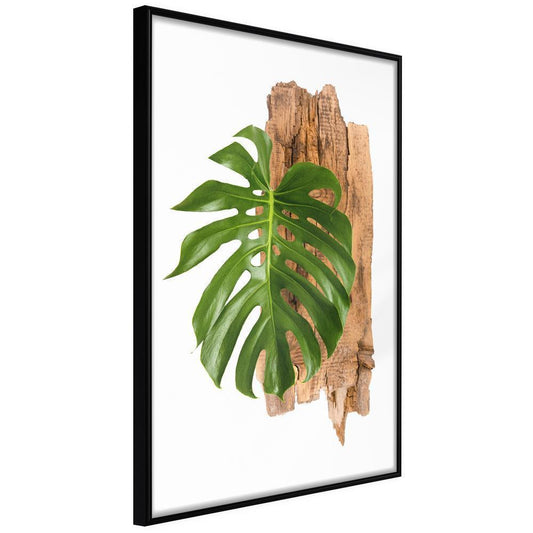 Botanical Wall Art - Leafy Etude-artwork for wall with acrylic glass protection
