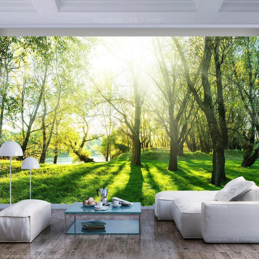 Wall Mural - Sunny May Day-Wall Murals-ArtfulPrivacy